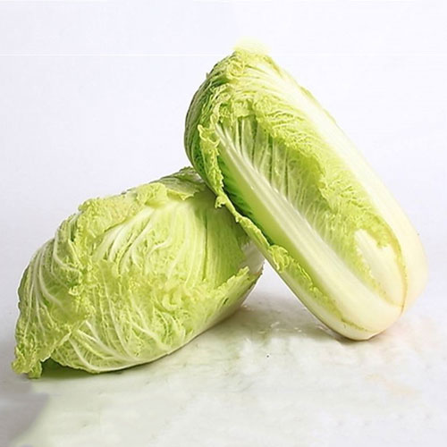 大白菜-蔬菜配送-深圳市蔬鲜生农业有限公司