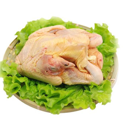 清远鸡-冻肉配送-深圳市蔬鲜生农业有限公司