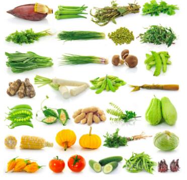 无公害蔬菜、绿色蔬菜与有机蔬菜的区别